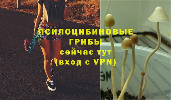синтетический гашиш Абаза