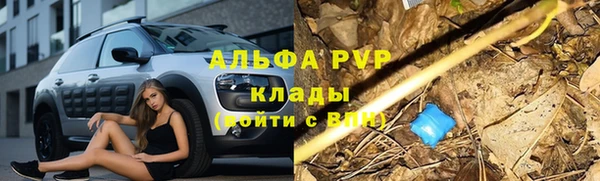 эйфоретик Абинск