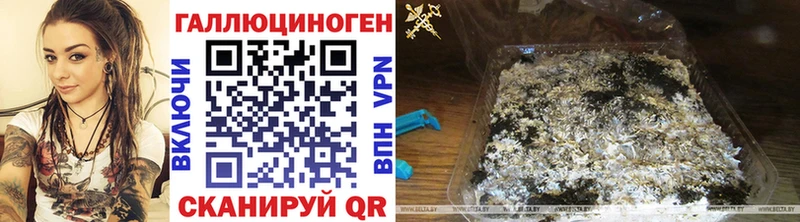 Псилоцибиновые грибы Psilocybe  Лесозаводск 